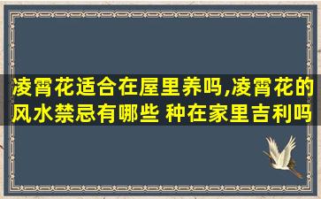 凌霄花适合在屋里养吗,凌霄花的风水禁忌有哪些 种在家里吉利吗